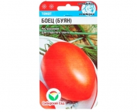 tomat_boec_buyan_ss